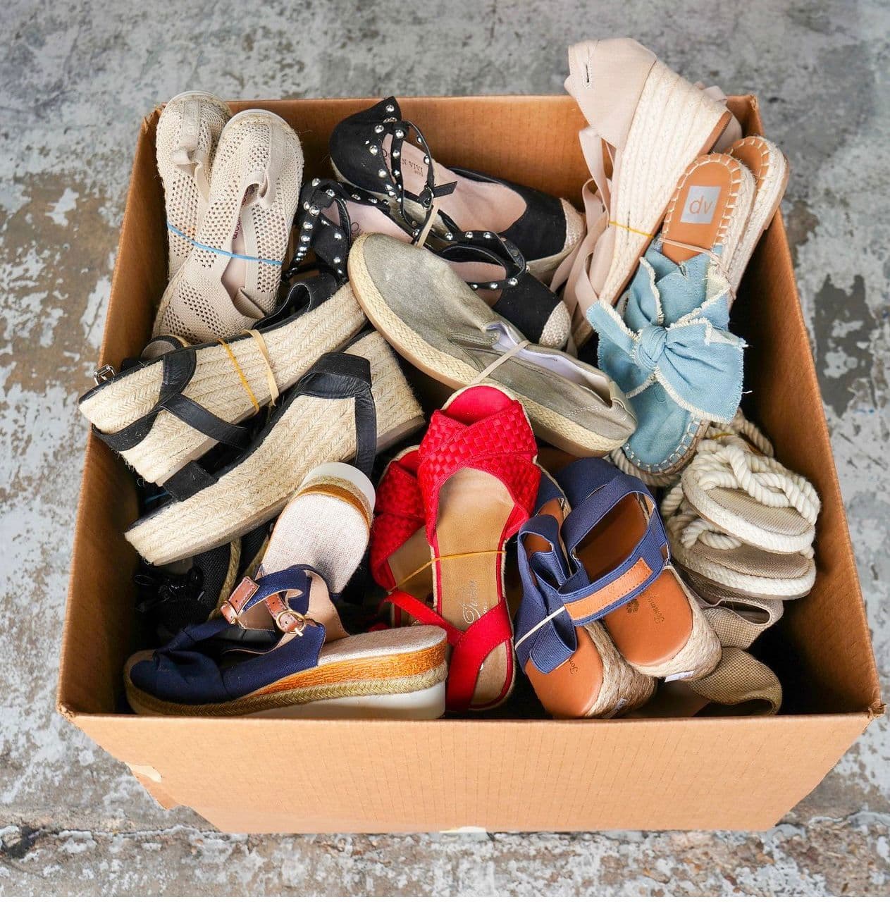 House Shoes or Beach Slippers